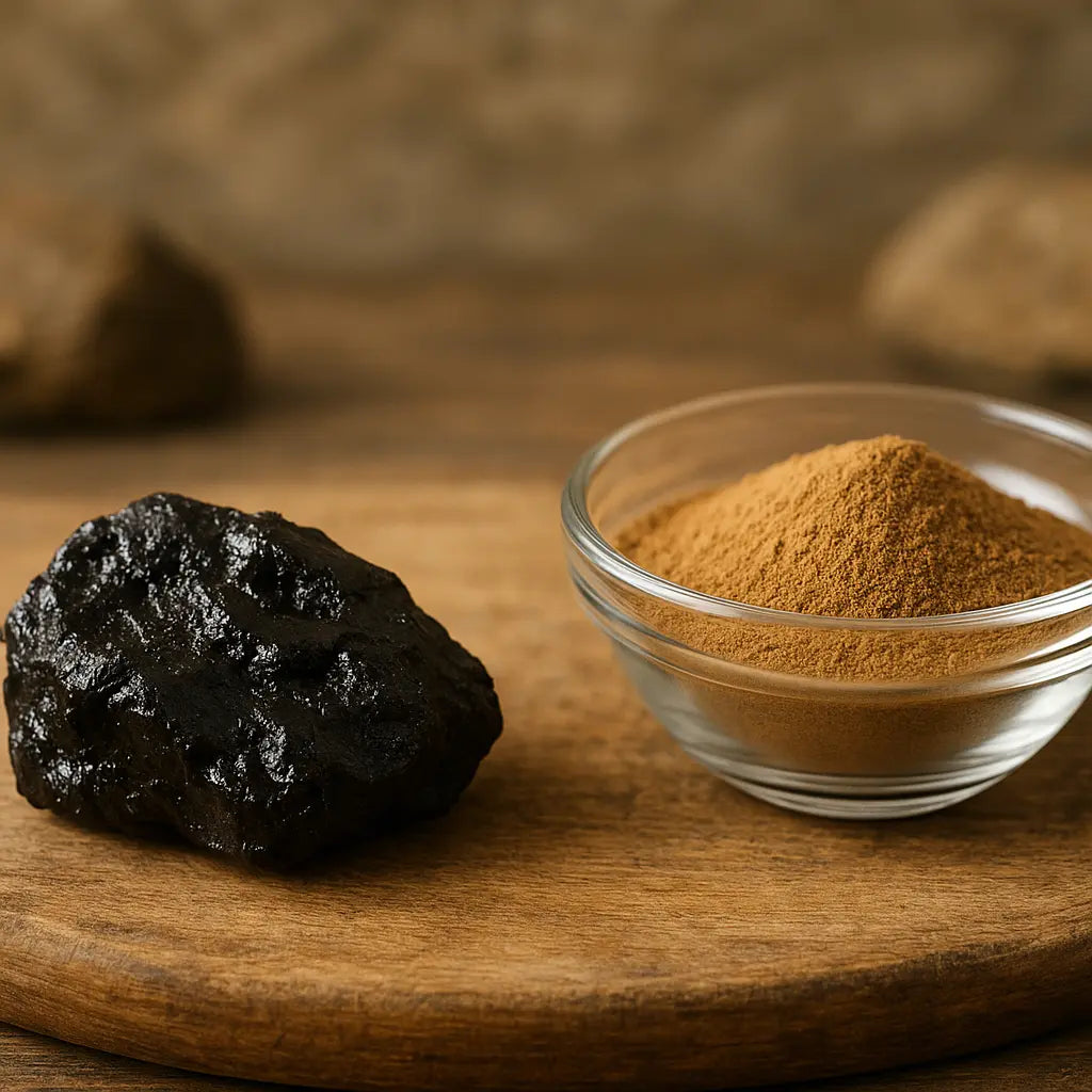 shilajit vs fulvic acid - jar of Himalayan shilajit resin on stone, editorial photo