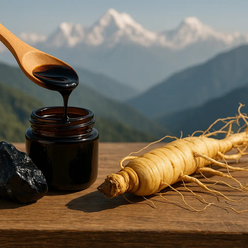 shilajit vs ginseng - jar of pure Himalayan shilajit resin on stone, editorial photo