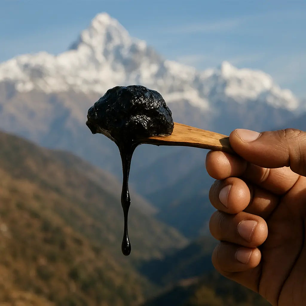 shilajit truths from nepal - villager holding pure Himalayan shilajit tin