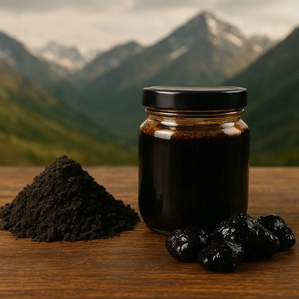 shilajit benefits explained - tin of pure Himalayan shilajit resin on stone