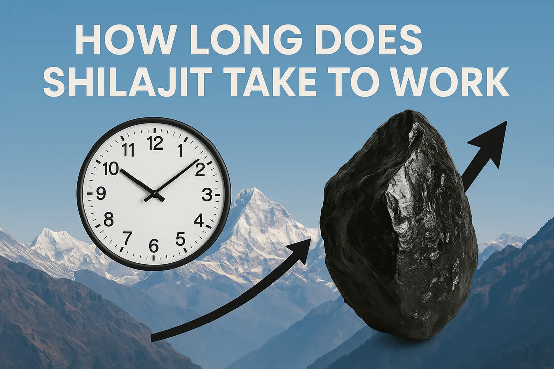 How long does auhentic real nepal shilajit fresh off the mountain working time shilajit
