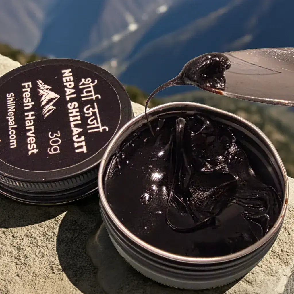 authentic himalayan shilajit shilnepal resin