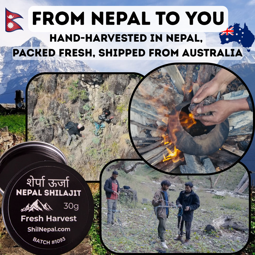 Nepalese Shilajit Resin – 30g Tin