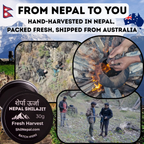 Nepalese Shilajit Resin – 30g Tin